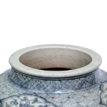 Picture of Blue and white phoenix vase