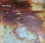 Picture of Archaic Jade Disc With Dragon