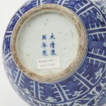 Picture of Kangxi Blue and White Porcelain Vase with Floral Motifs